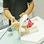 Medical education model